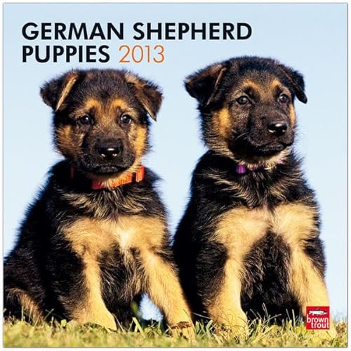 German Shepherd Puppies 2013 Square 12X12 Wall (9781421698076) by [???]