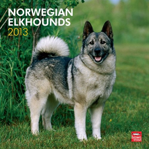 Norwegian Elkhounds 2013 Calendar (9781421698441) by [???]