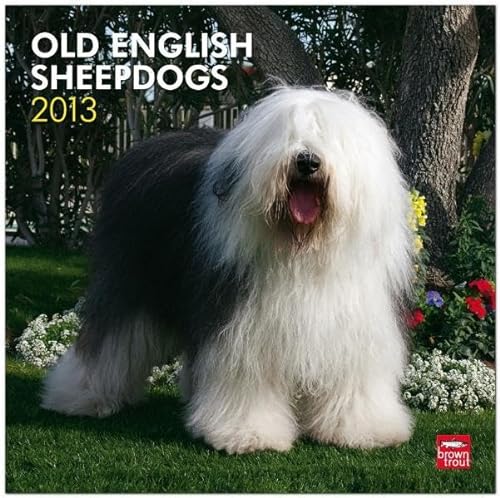 Old English Sheepdogs 2013 Square 12X12 Wall (9781421698458) by [???]