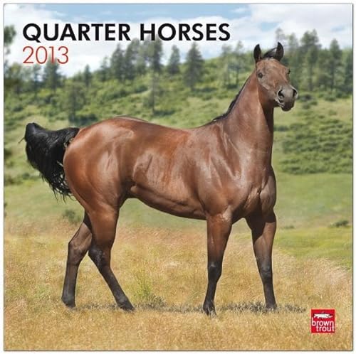 Quarter Horses 2013 Square 12X12 Wall Calendar (9781421699653) by Browntrout Publishers