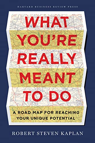 Imagen de archivo de What You're Really Meant to Do: A Road Map for Reaching Your Unique Potential a la venta por More Than Words