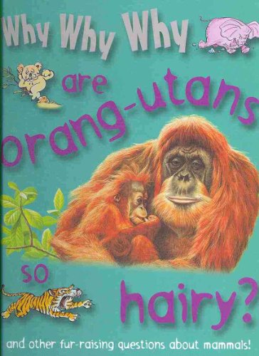 Stock image for Why Why Why. Are Orangutans So Hairy? for sale by Better World Books