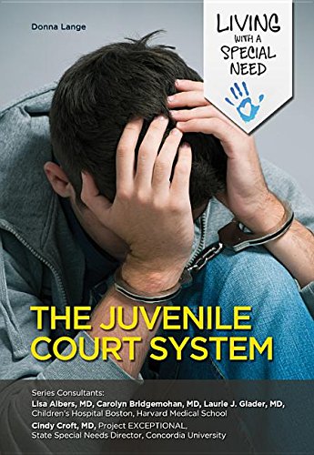 Imagen de archivo de The Juvenile Court System a la venta por Better World Books