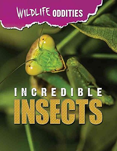 9781422235249: Incredible Insects (Wildlife Oddities)