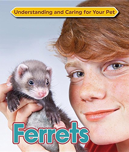 Imagen de archivo de Ferrets (Understanding and Caring for Your Pet) a la venta por AwesomeBooks