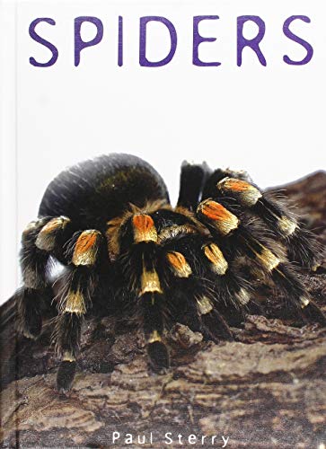 Stock image for Spiders (Exploring Nature) for sale by Hippo Books