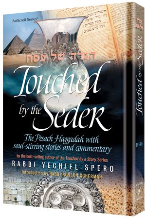 Stock image for Touched by the Seder for sale by Sifrey Sajet