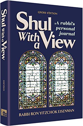 Stock image for Shul With a View - A rabbis personal journal for sale by ZBK Books