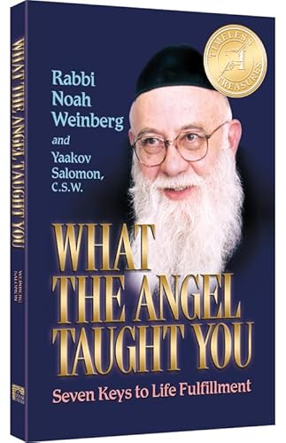 Imagen de archivo de What the Angel Taught you Paperback (Mid Size Paperback) Seven Keys to Life Fulfillment a la venta por Book Deals