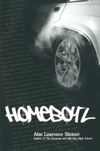 9781423100317: Homeboyz (Hoopster Trilogy, 3)