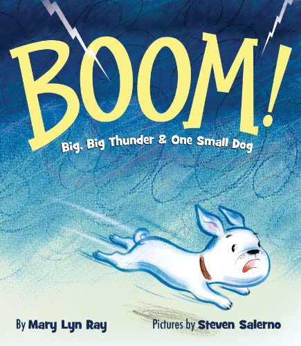 9781423162384: Boom!: Big, Big Thunder & One Small Dog