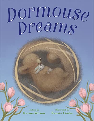 Imagen de archivo de Dormouse Dreams a la venta por Decluttr
