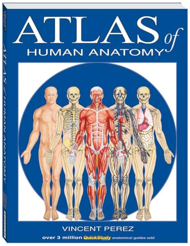Atlas Of Human Anatomy (Quickstudy Books) (9781423201724) by BarCharts, Inc.