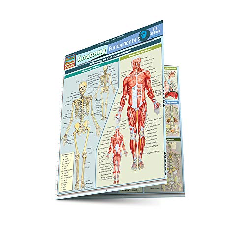 Beispielbild fr Anatomy Fundamentals: Life Science zum Verkauf von Blackwell's