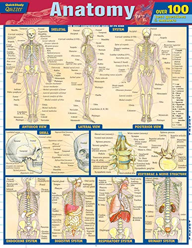 9781423217343: Anatomy Quizzer: Over 100 Test Questions & Answers (Quick Study Quizzer)