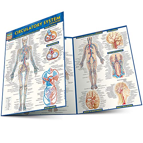 Circulatory System Advanced (Quick Study: Academic) (9781423220305) by BarCharts, Inc.