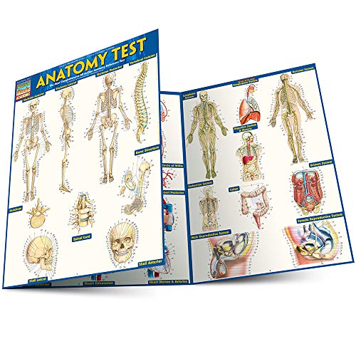 Stock image for Anatomy Test Reference Guide (8. 5 X 11) : For Use with Anatomy Reference Guide (9781423222781) for sale by Better World Books: West
