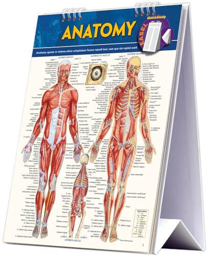 Beispielbild fr Anatomy Easel Book: A Quickstudy Reference Tool (Quick Study Easel) zum Verkauf von BooksRun