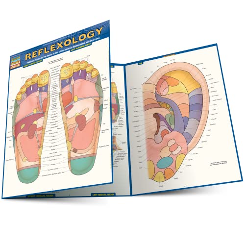 Beispielbild fr Reflexology zum Verkauf von Blackwell's