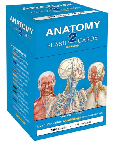 Imagen de archivo de Anatomy 2 Flash Cards QuickStudy Reference Tool a la venta por BooksRun