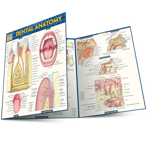 Beispielbild fr Dental Anatomy zum Verkauf von Blackwell's