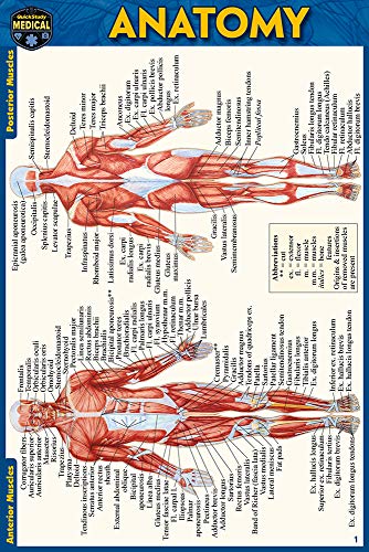 9781423242666: Anatomy Pocket-Sized Reference Guide (4x6 Inches)