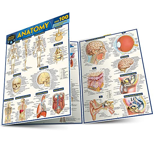 9781423244127: Anatomy Quizzer: A Quickstudy Laminated Reference Guide