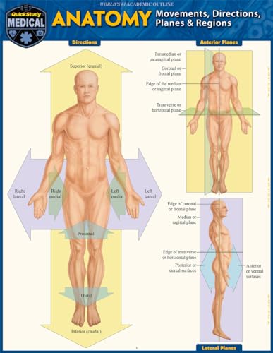 Beispielbild fr Anatomy - Directions, Planes, Movements &amp; Regions zum Verkauf von Blackwell's