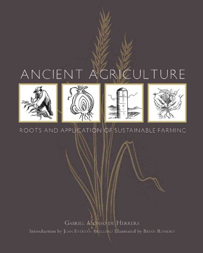 Beispielbild fr Ancient Agriculture : Roots and Application of Sustainable Farming zum Verkauf von Better World Books