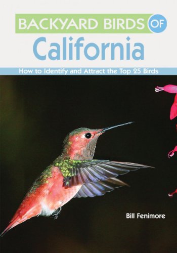 Imagen de archivo de Backyard Birds of California: How to Identify and Attract the Top 25 Birds a la venta por SecondSale