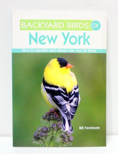 Beispielbild fr Backyard Birds of New York : How to Identify and Attract the Top 25 Birds zum Verkauf von Better World Books