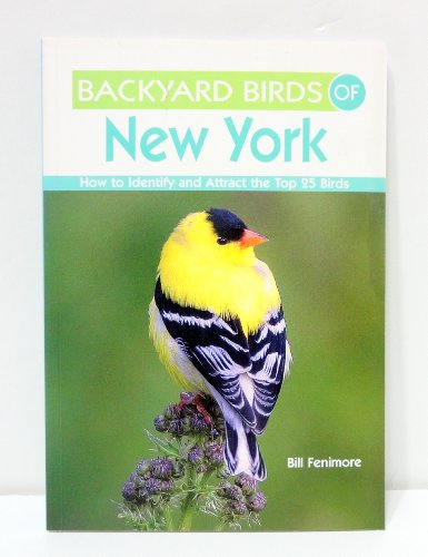 Stock image for Backyard Birds of New York: How to Identify and Attract the Top 25 Birds for sale by SecondSale