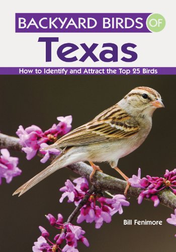 Beispielbild fr Backyard Birds of Texas: How to Identify and Attract the Top 25 Birds zum Verkauf von HPB-Red