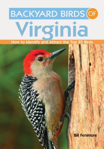 Beispielbild fr Backyard Birds of Virginia: How to Identify and Attract the Top 25 Birds zum Verkauf von Irish Booksellers