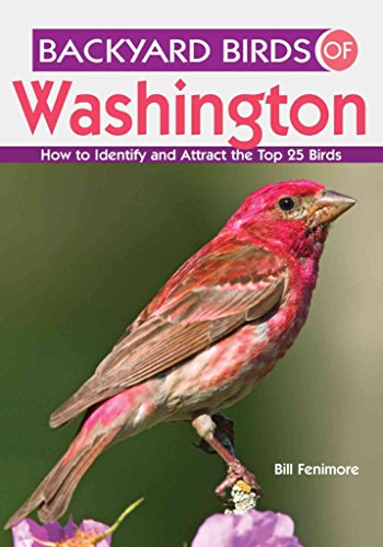 Stock image for Backyard Birds of Washington: How to Identify and Attract the Top 25 Birds for sale by ThriftBooks-Reno