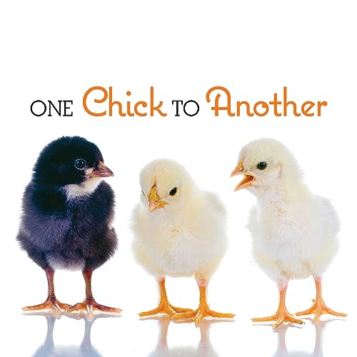 9781423618362: One Chick to Another