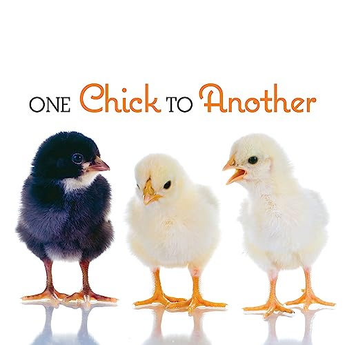 Stock image for One Chick to Another for sale by Jenson Books Inc
