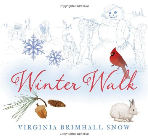 Stock image for Winter Walk (Seasonal Walks) for sale by WorldofBooks