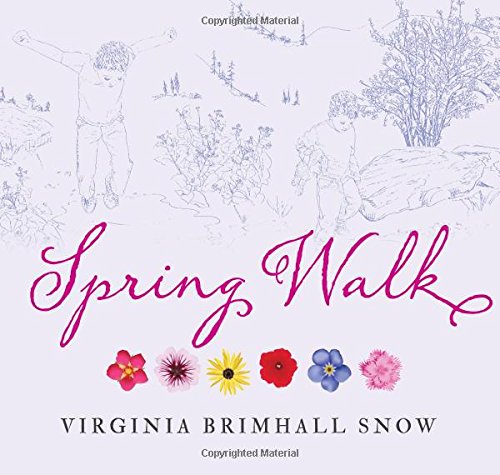 Stock image for Spring Walk (Seasonal Walks) for sale by HPB Inc.