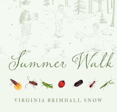 Stock image for Summer Walk (Seasonal Walks) for sale by SecondSale