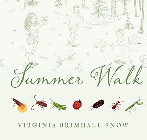 9781423642152: Summer Walk (Seasonal Walks)