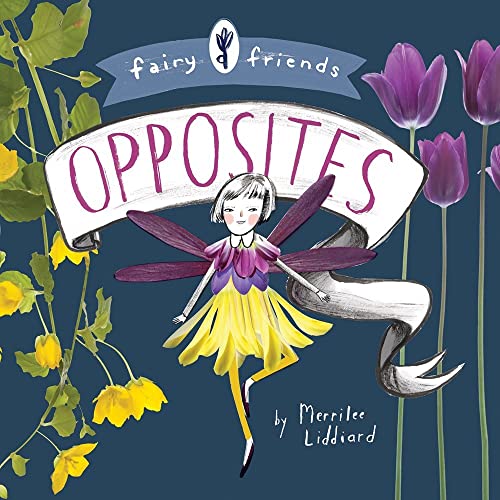 Stock image for Fairy Friends: An Opposites Primer for sale by SecondSale