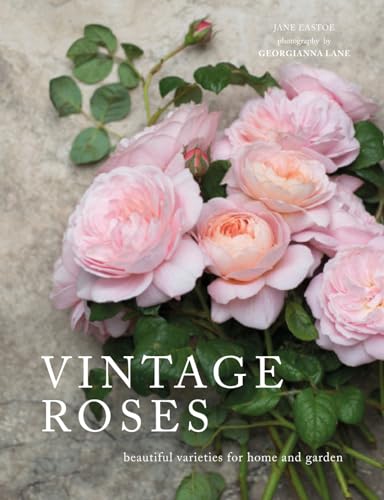 Beispielbild fr Vintage Roses: Beautiful Varieties for Home and Garden zum Verkauf von WorldofBooks