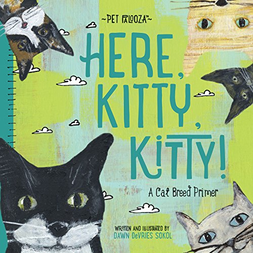 9781423647041: Here, Kitty, Kitty!: A Cat Breed Primer (Pet Palooza)