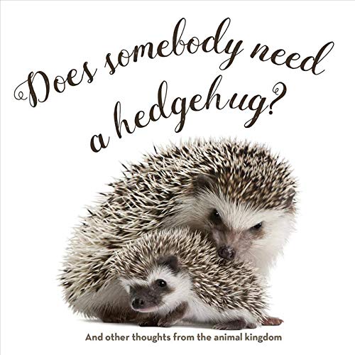 9781423648109: Does Somebody Need a Hedgehug?: And Other Thoughts From the Animal Kingdom