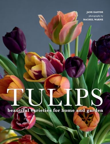 Beispielbild fr Tulips: Beautiful Varieties for Home and Garden zum Verkauf von Bellwetherbooks