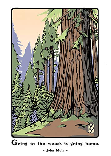 Beispielbild fr Giant Sequoia (Boxed) zum Verkauf von Blackwell's