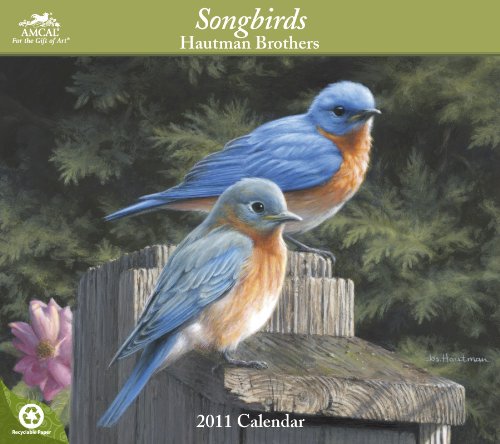 9781423804628: Songbirds 2011 Calendar