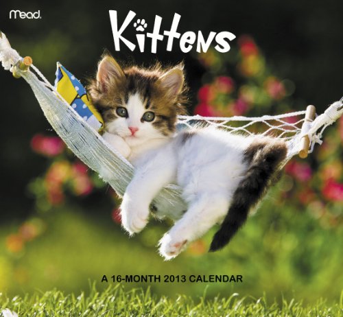 9781423817253: Kittens 2013 Calendar