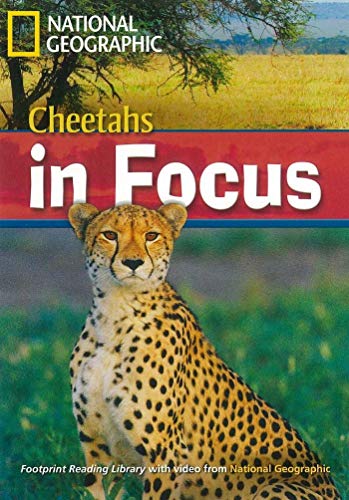 9781424011131: Cheetahs in Focus: Footprint Reading Library 2200